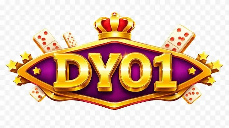 dy01